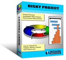 Risky Project